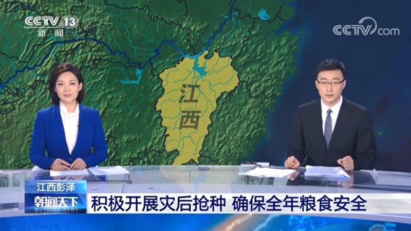 [朝聞天下]積極展開災(zāi)后搶種 確保全年糧食安全